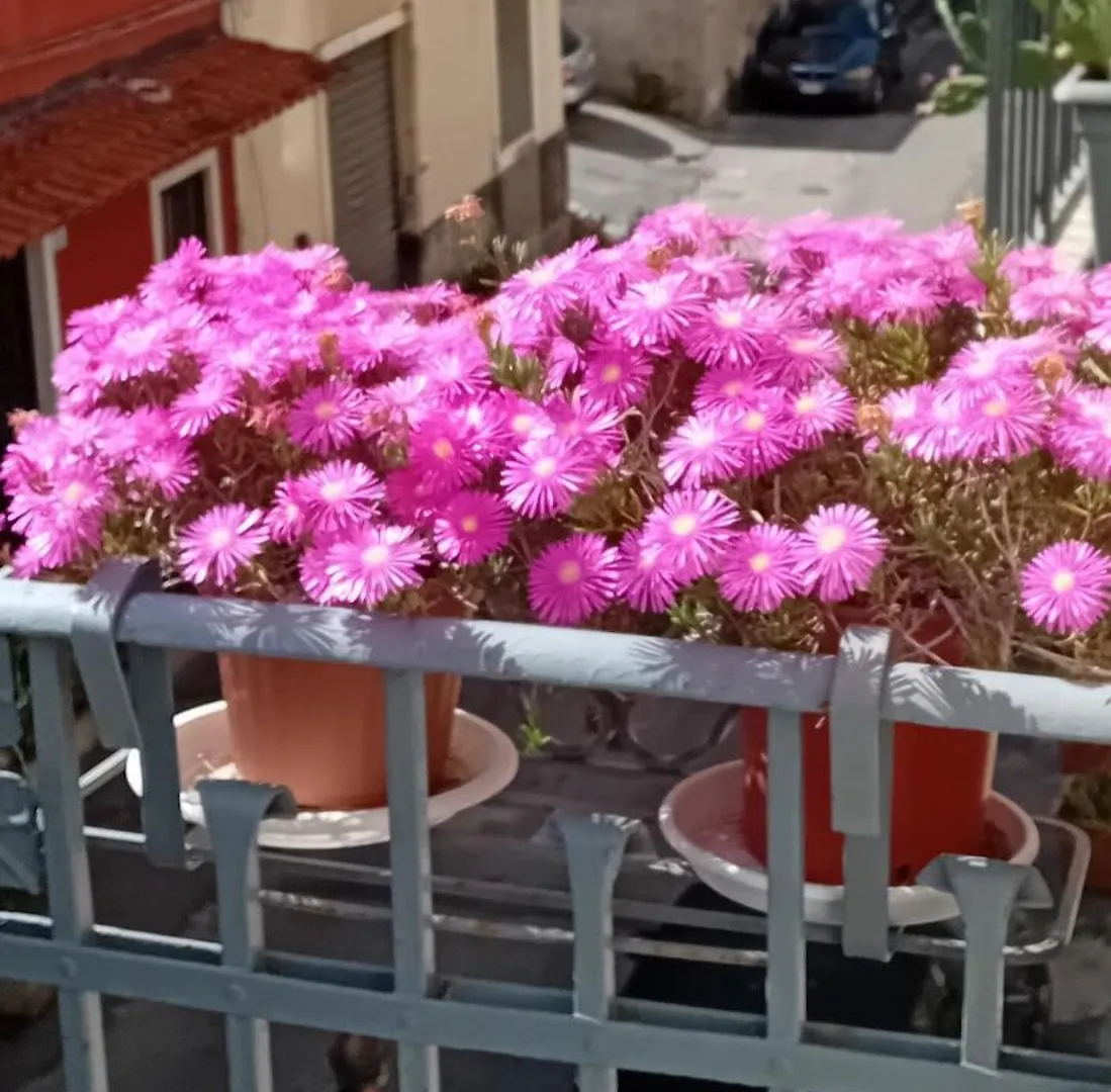Appartement La Casuzza Di Tindaro à Catane
